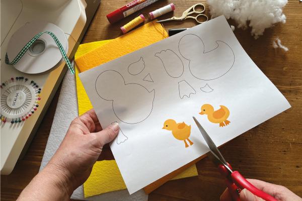 Návod na jarní kuřátka a kačenky